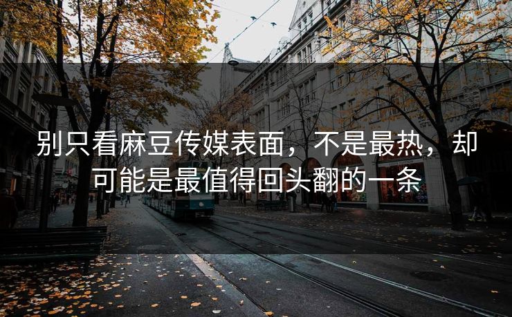 别只看麻豆传媒表面，不是最热，却可能是最值得回头翻的一条  第1张