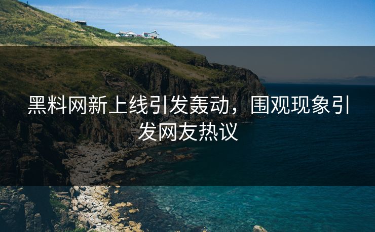 黑料网新上线引发轰动,围观现象引发网友热议 第1张 黑料网新上线引发轰动,围观现象引发网友热议 第1张