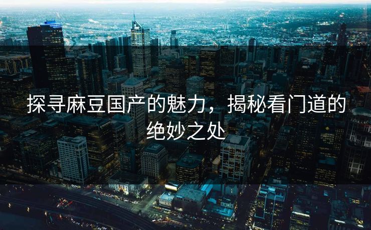 探寻麻豆国产的魅力，揭秘看门道的绝妙之处  第1张