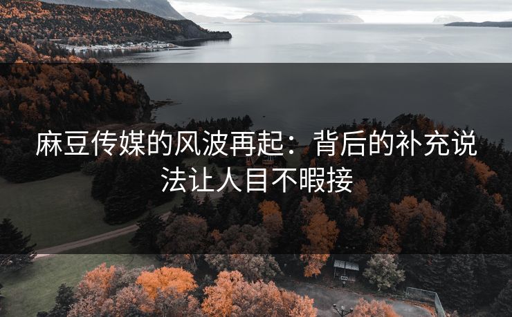 麻豆传媒的风波再起：背后的补充说法让人目不暇接  第1张