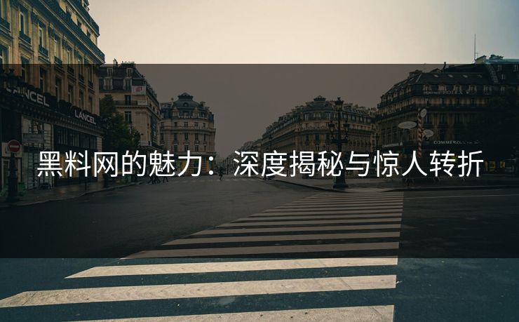 黑料网的魅力：深度揭秘与惊人转折  第1张