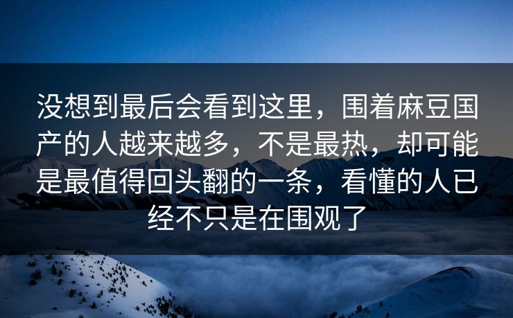 没想到最后会看到这里，围着麻豆国产的人越来越多，不是最热，却可能是最值得回头翻的一条，看懂的人已经不只是在围观了  第1张