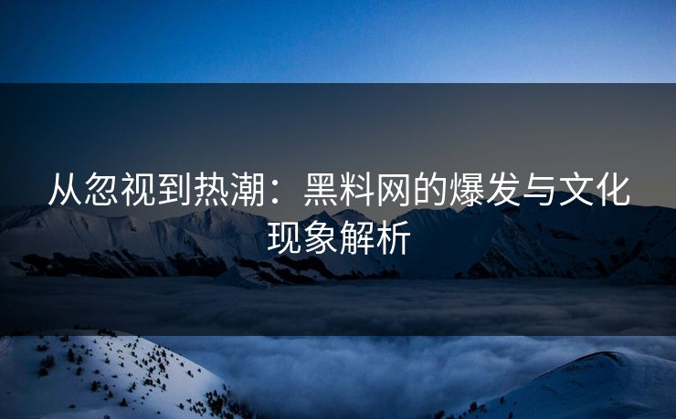 从忽视到热潮：黑料网的爆发与文化现象解析  第1张
