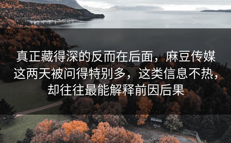 真正藏得深的反而在后面，麻豆传媒这两天被问得特别多，这类信息不热，却往往最能解释前因后果  第1张