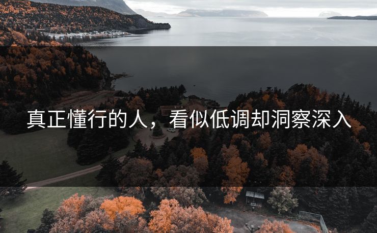 真正懂行的人，看似低调却洞察深入  第1张