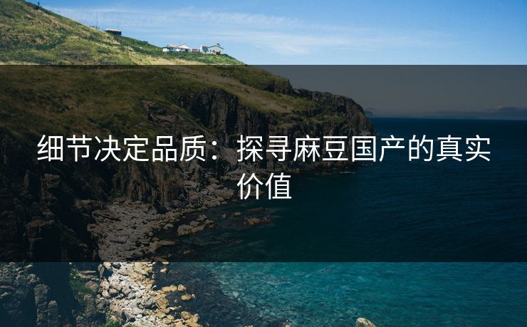 细节决定品质：探寻麻豆国产的真实价值  第1张